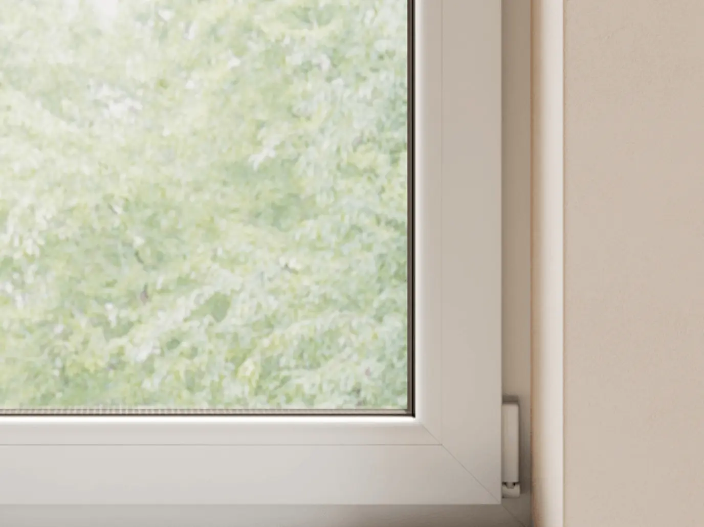 black seal in window frame